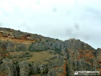 Piragüismo Hoces del Río Duratón,canoas; sierras de albacete senderismo sierra aracena